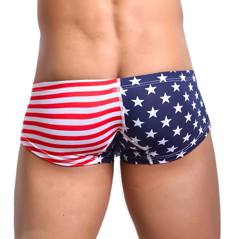 Flag printed shorts Men's Attire Apparel / Clothing