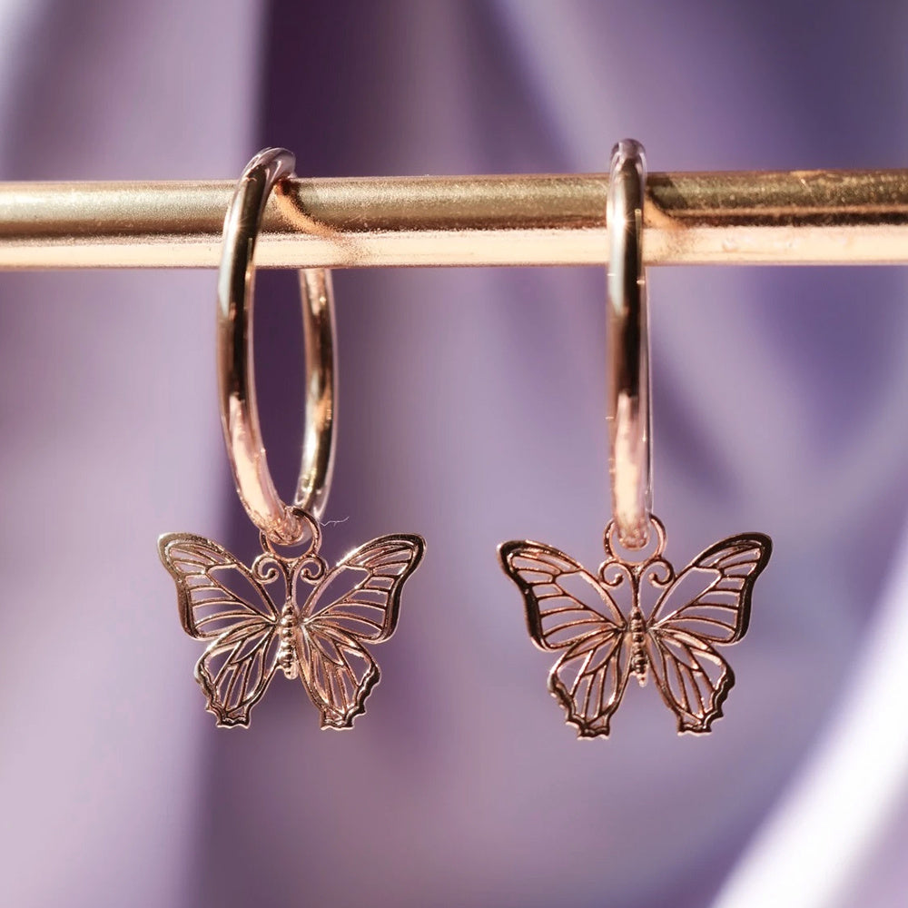 Exquisite butterfly earrings Jewelry/Accessories