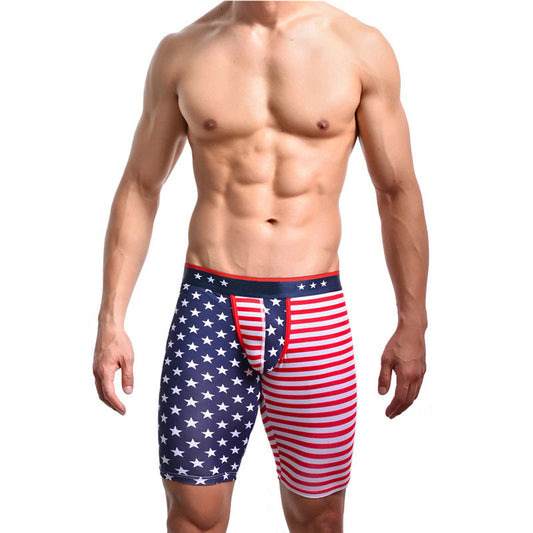 American flag print panties Apparel / Clothing