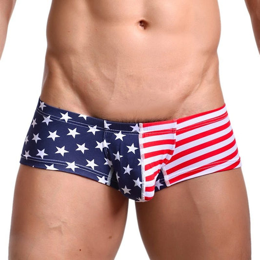 Flag printed shorts Apparel / Clothing