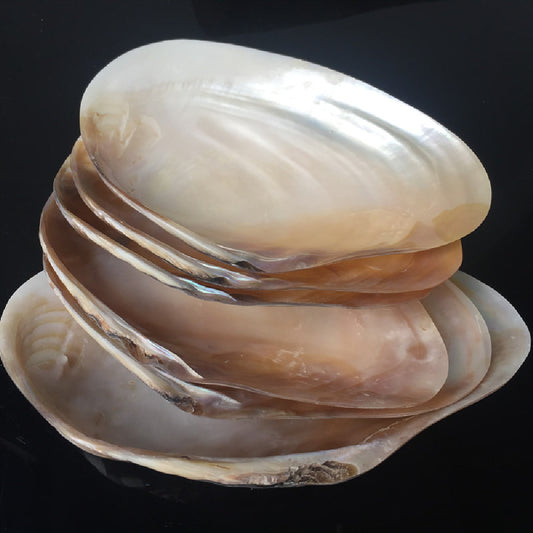 Home Craft Shell Decorations – Home Ornaments